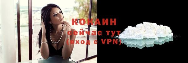 мдпв Сосновка