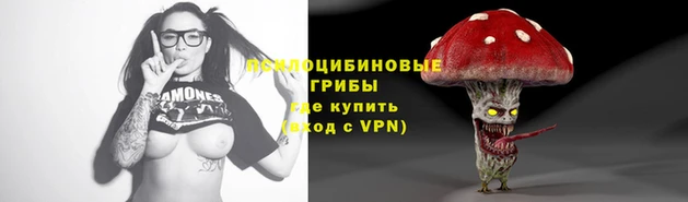 а пвп мука Белокуриха