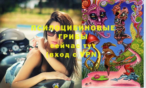 трава Беломорск