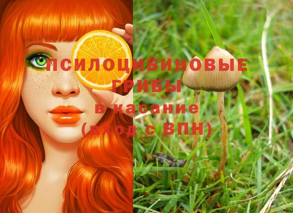 молекула духа Сосновый Бор