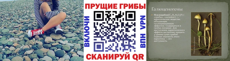 даркнет сайт  Котово  Галлюциногенные грибы Psilocybe 